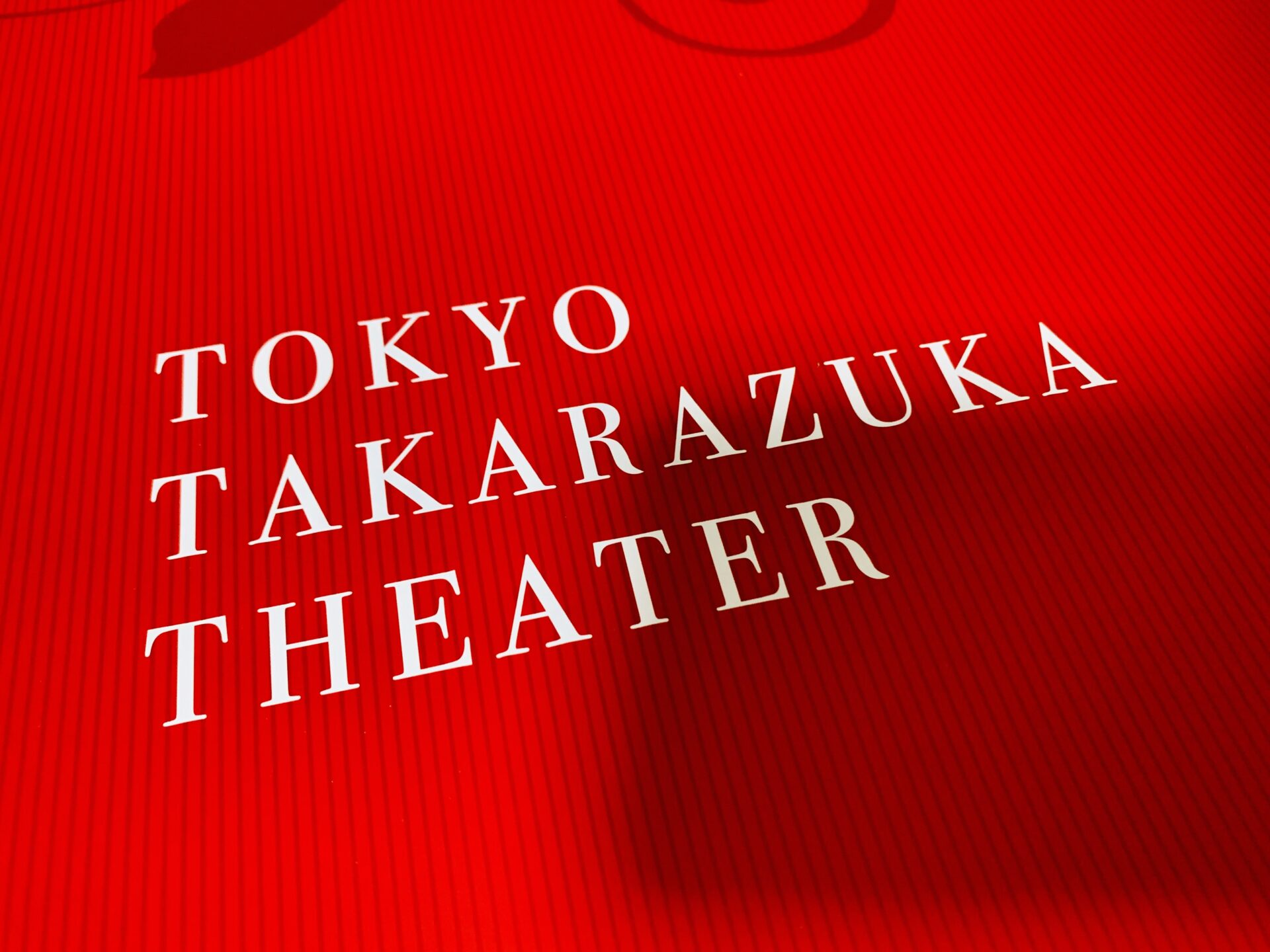 宝塚 TAKARAZUKA1000days劇場 座席クッション（座布団）１枚 - クッション